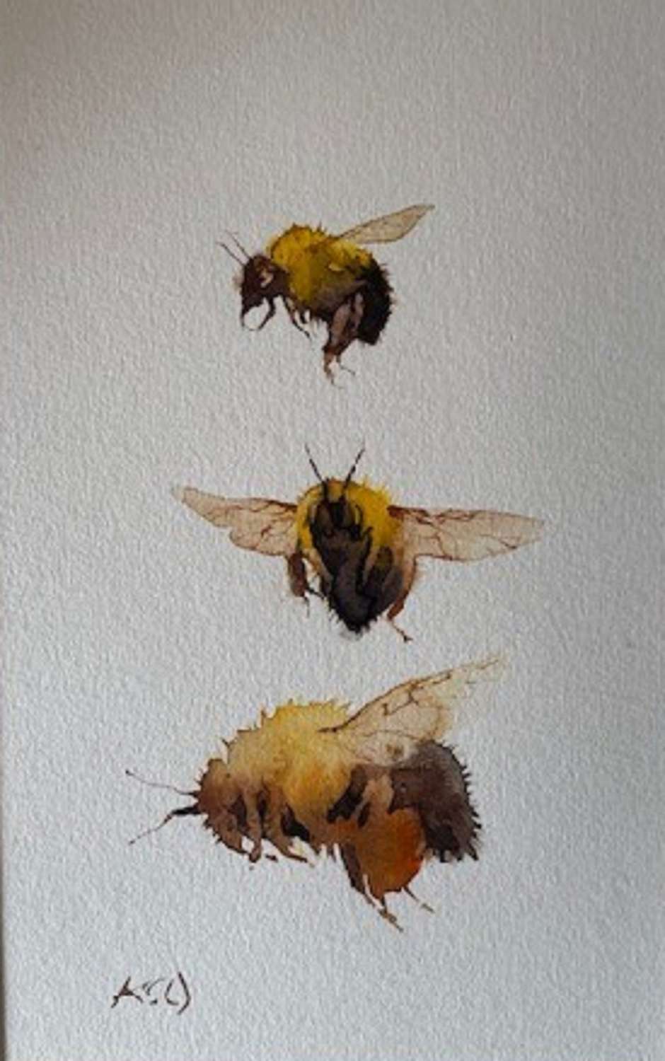 Kate Osborne. Three Bumblebees.